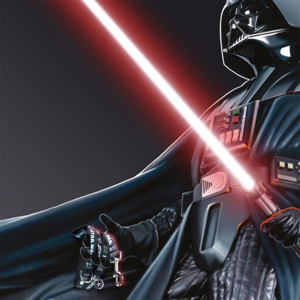Darth Vader Koppel 100cm Star Wars
