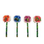 Teenage Mutant Ninja Pencil with Eraser Topper