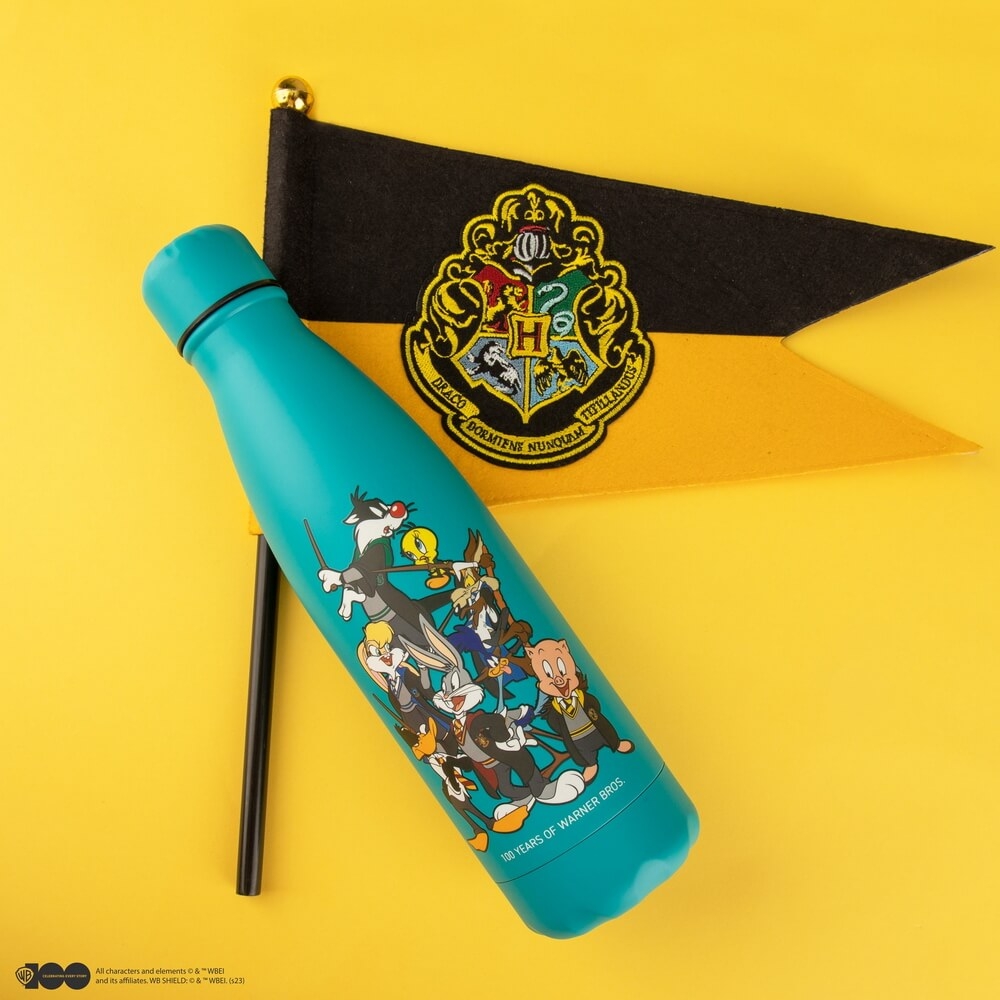 Looney Tunes på Hogwarts Termosflaska (500ml) - Harry Potter 2 Looney Tunes på Hogwarts Termosflaska (500ml) - Harry Potter